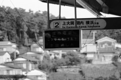 kny-5 kny-5